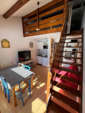 Appartement Morzine, deux pièces, mezzanine, 4 personnes